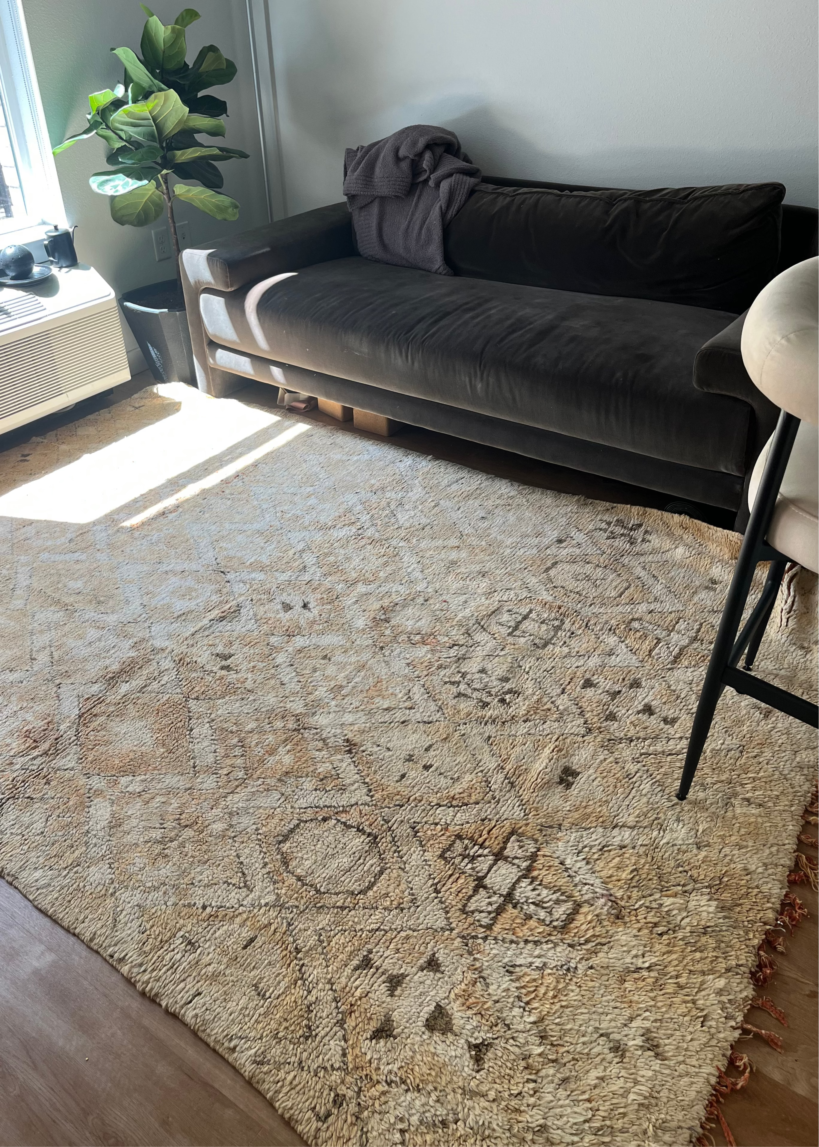 Desert Bliss Area rug