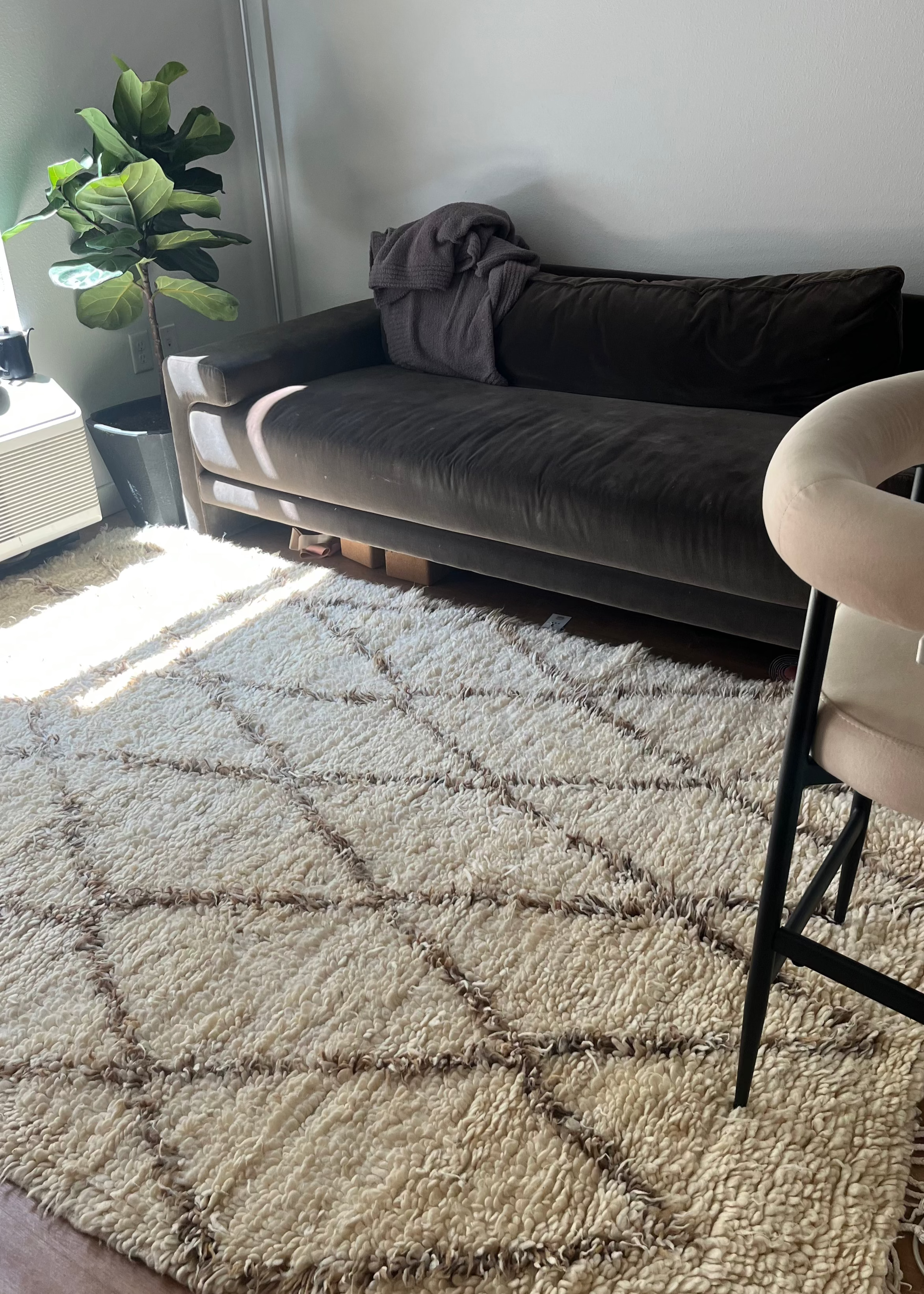 Classic Beni Ourain Area Rug