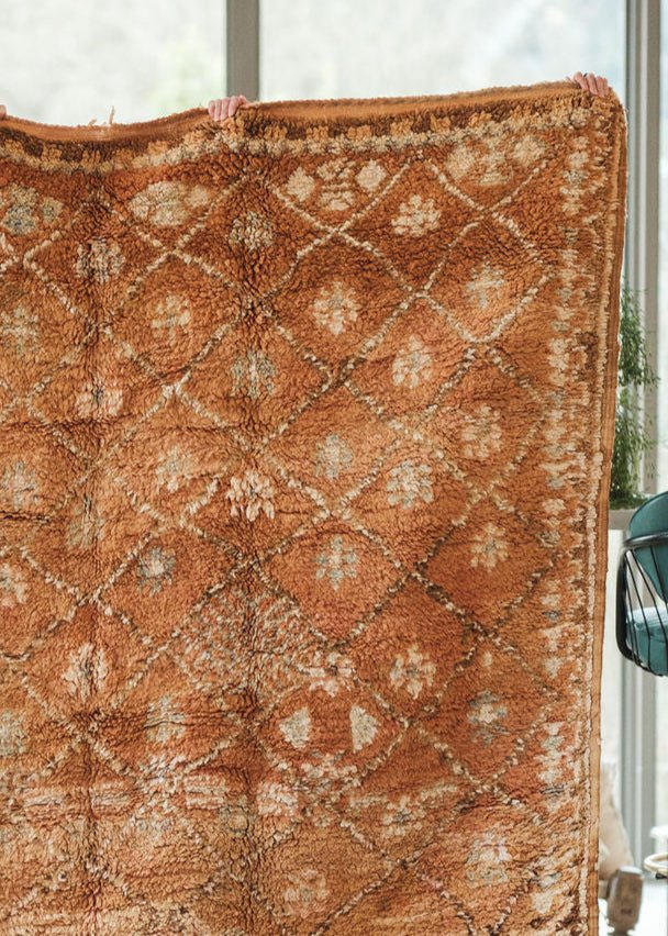 Auburn Area Rug - Modern Myth Decor