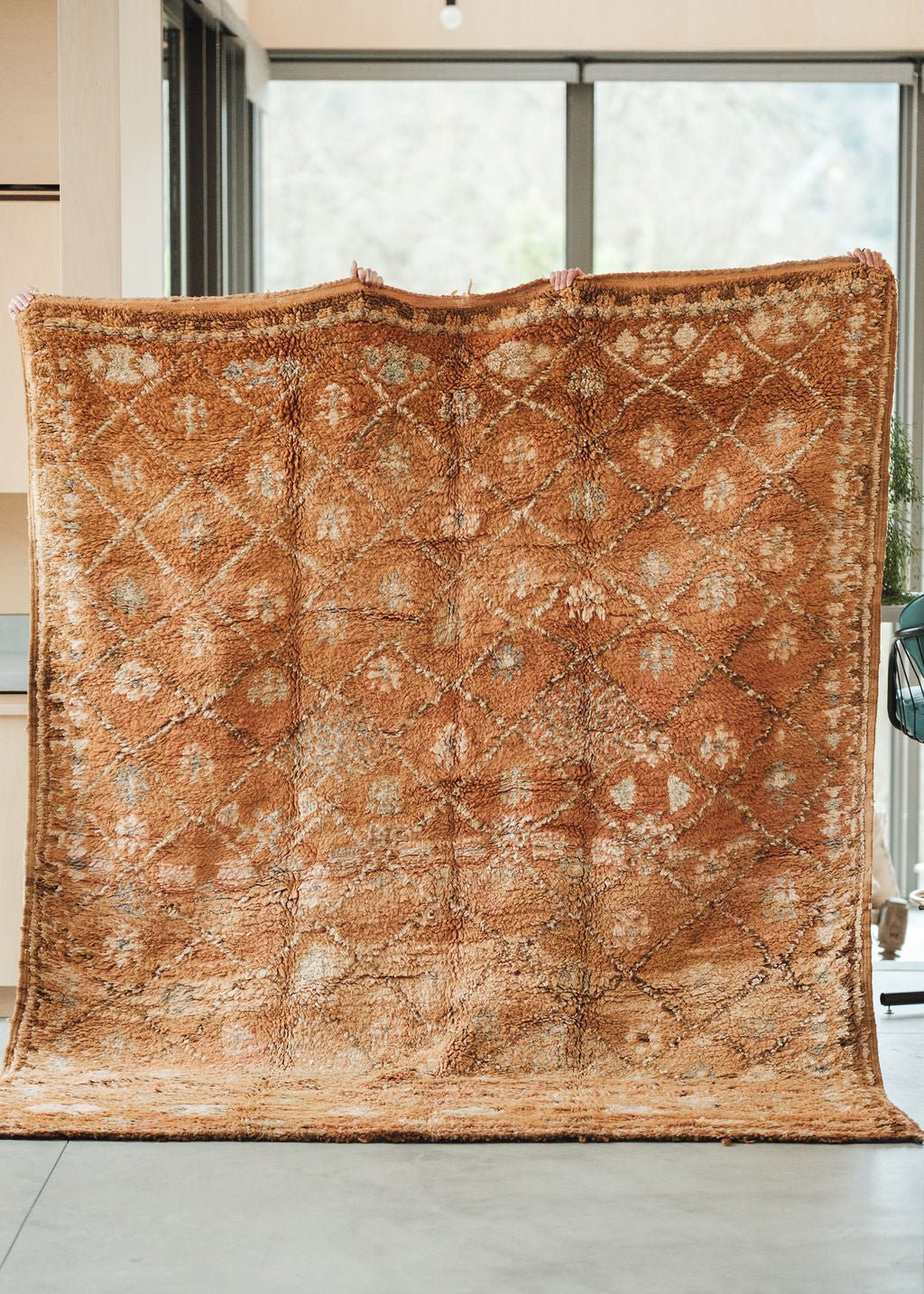 Auburn Area Rug - Modern Myth Decor