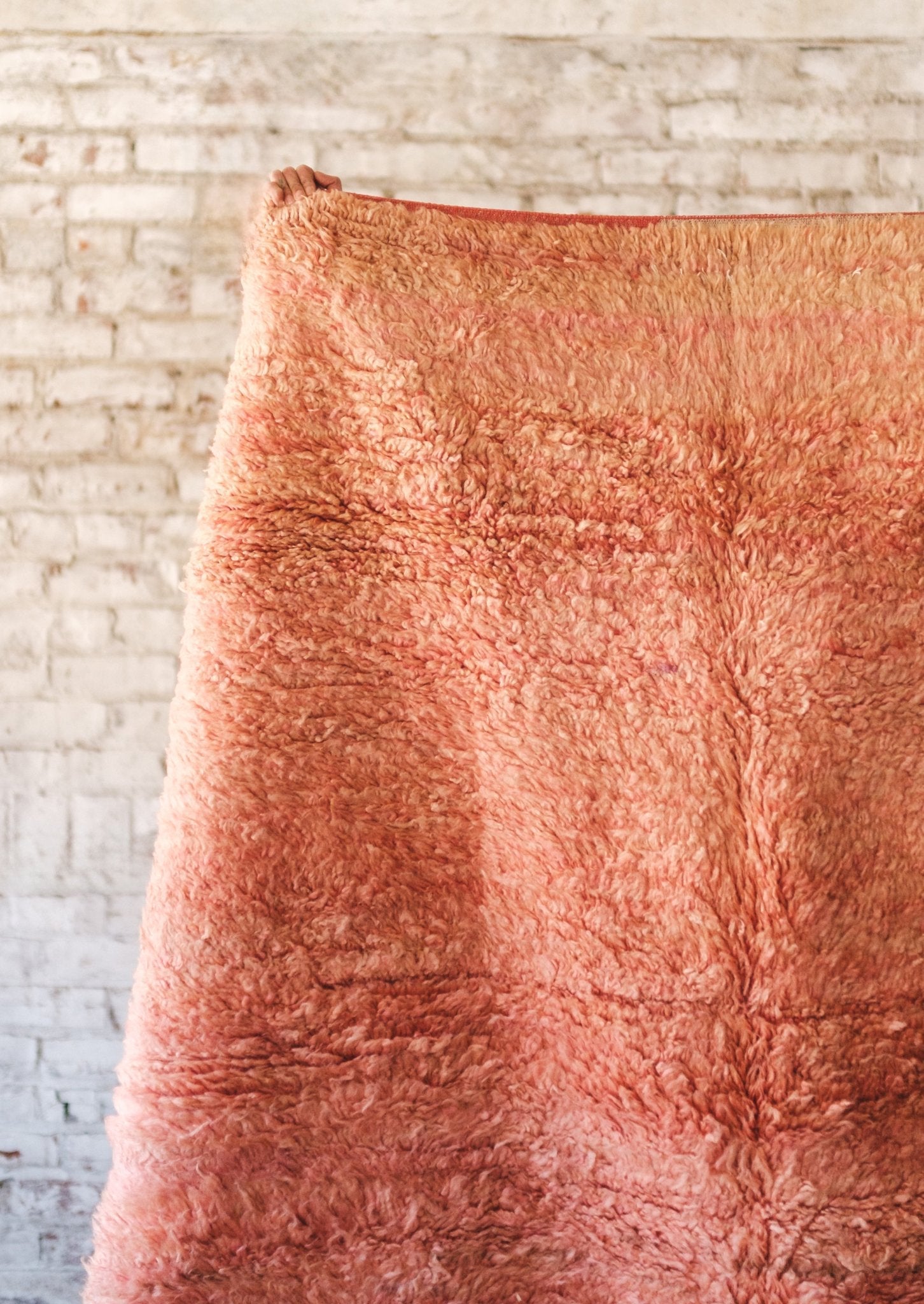 Blush Hug Area Rug - Modern Myth Decor