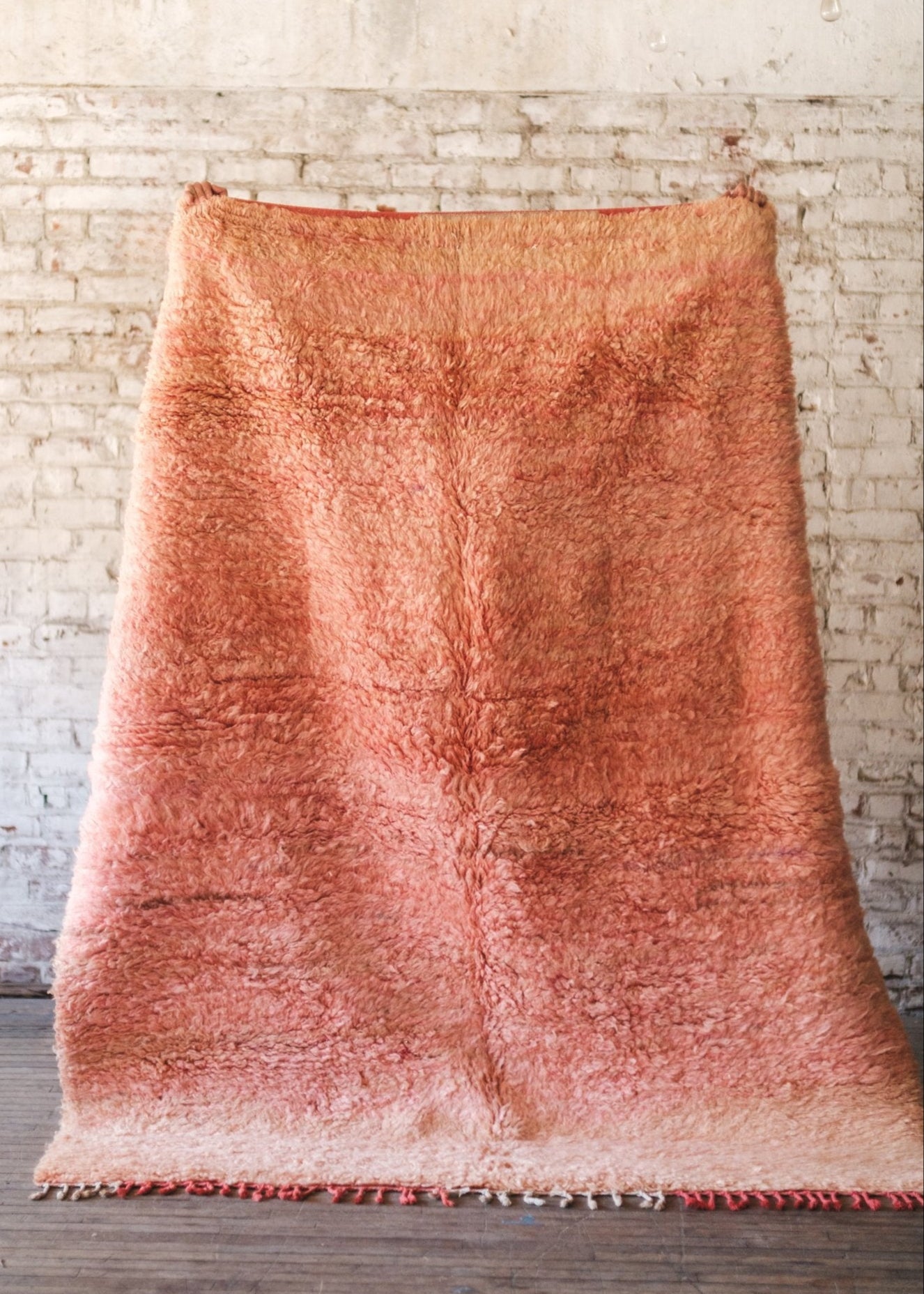 Blush Hug Area Rug - Modern Myth Decor