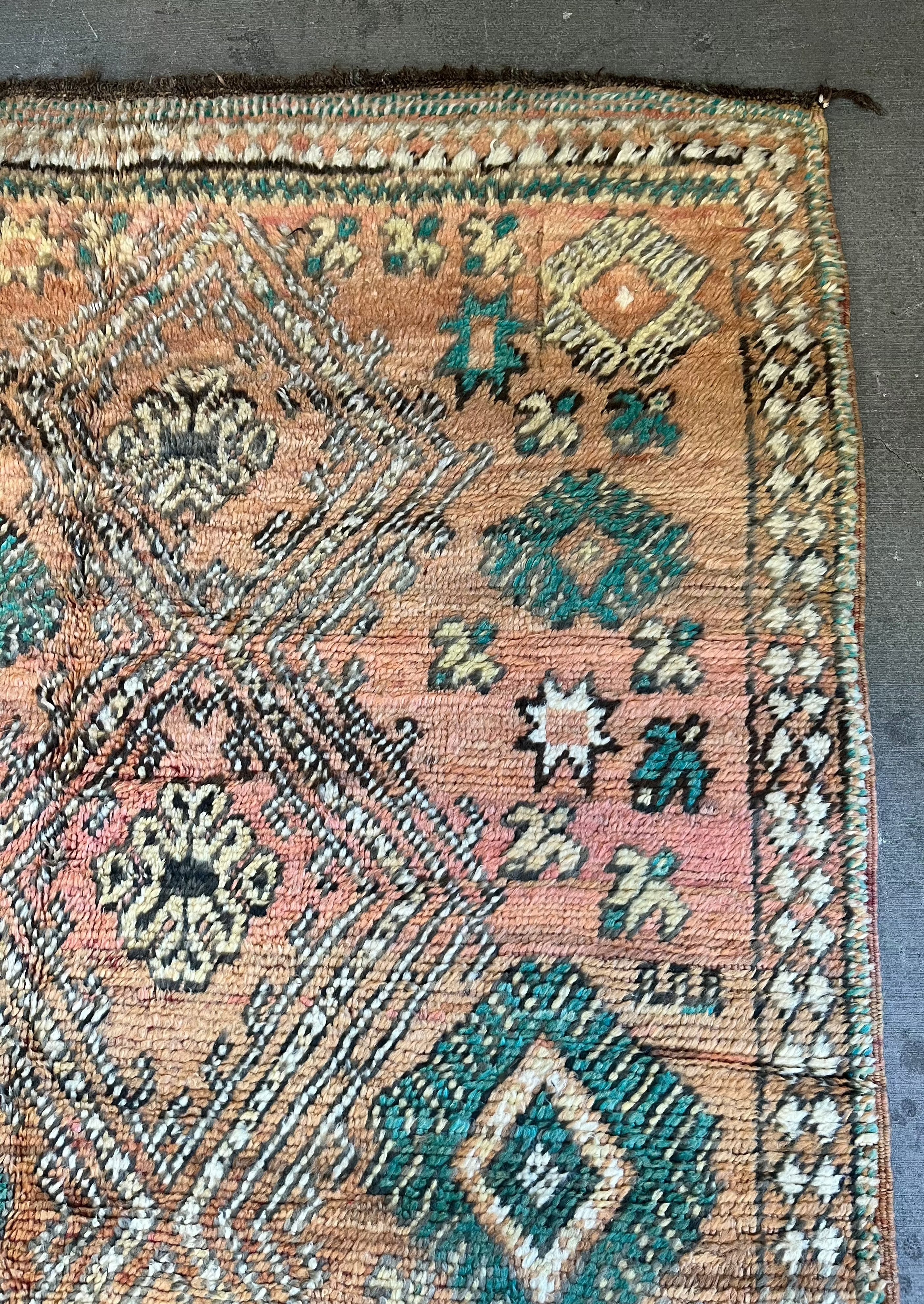 Envy area rug