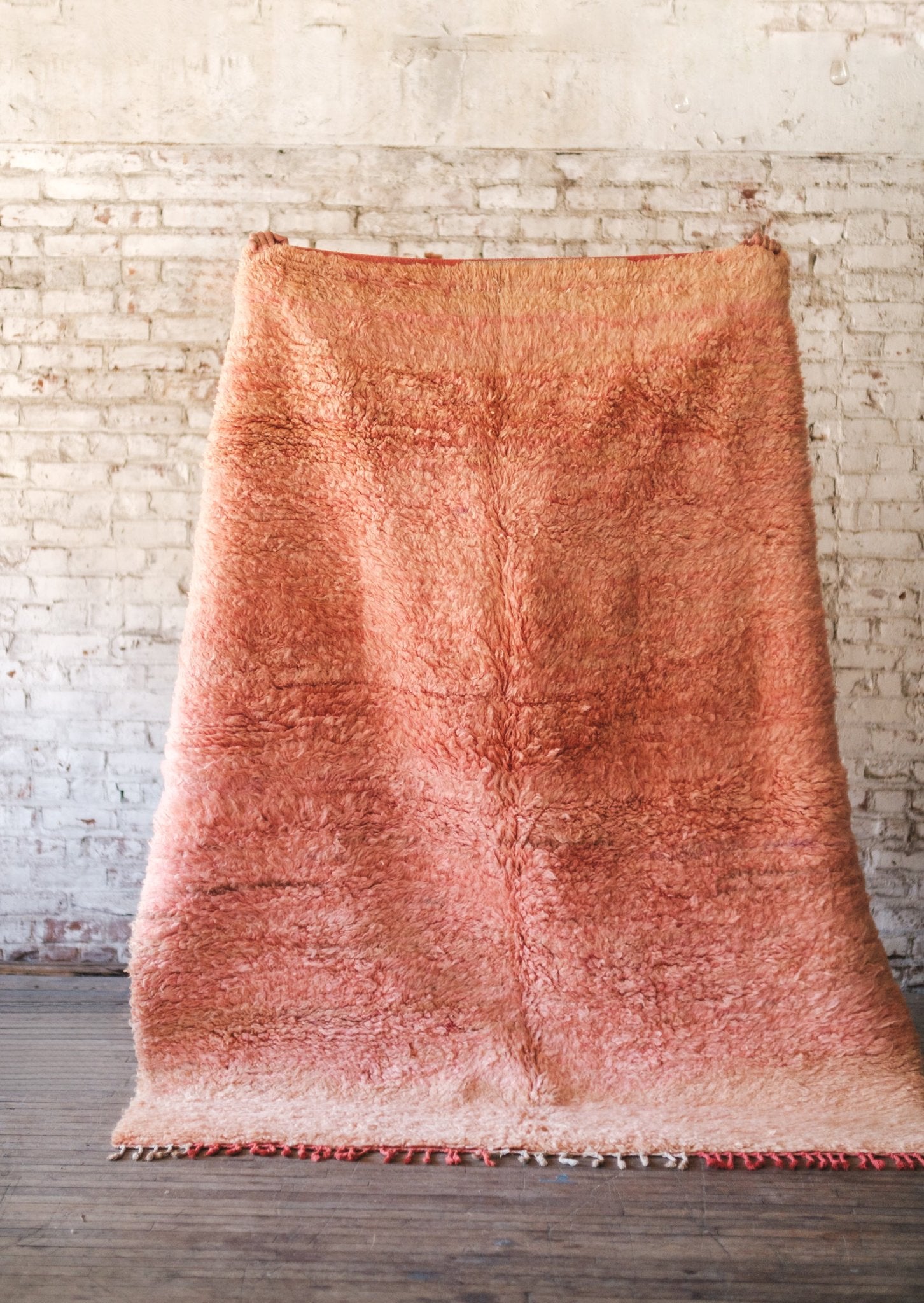 Blush Hug Area Rug - Modern Myth Decor