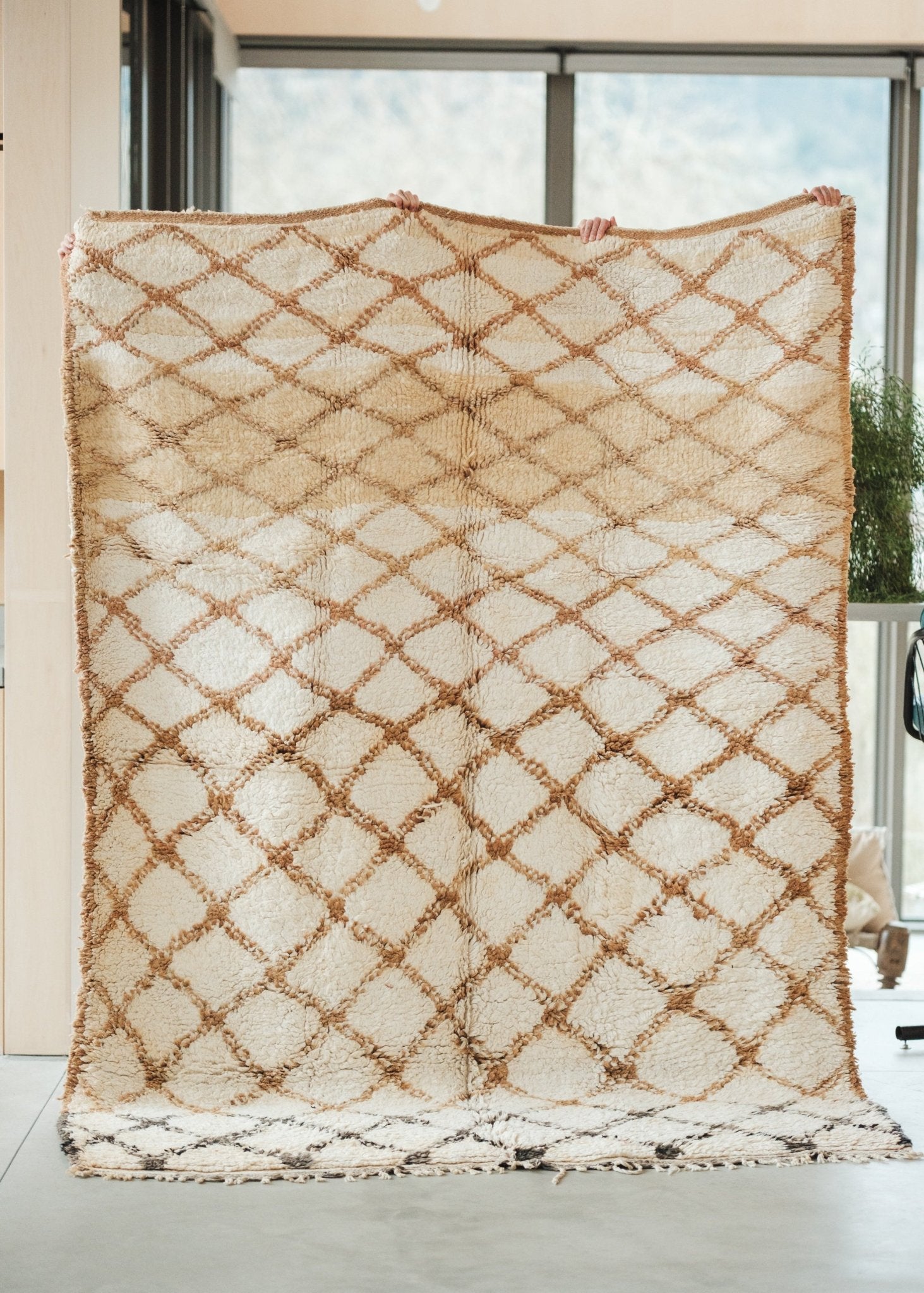The Desert Oasis Area Rug - Modern Myth Decor